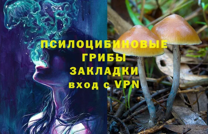 купить наркоту  Энем  Галлюциногенные грибы Magic Shrooms 